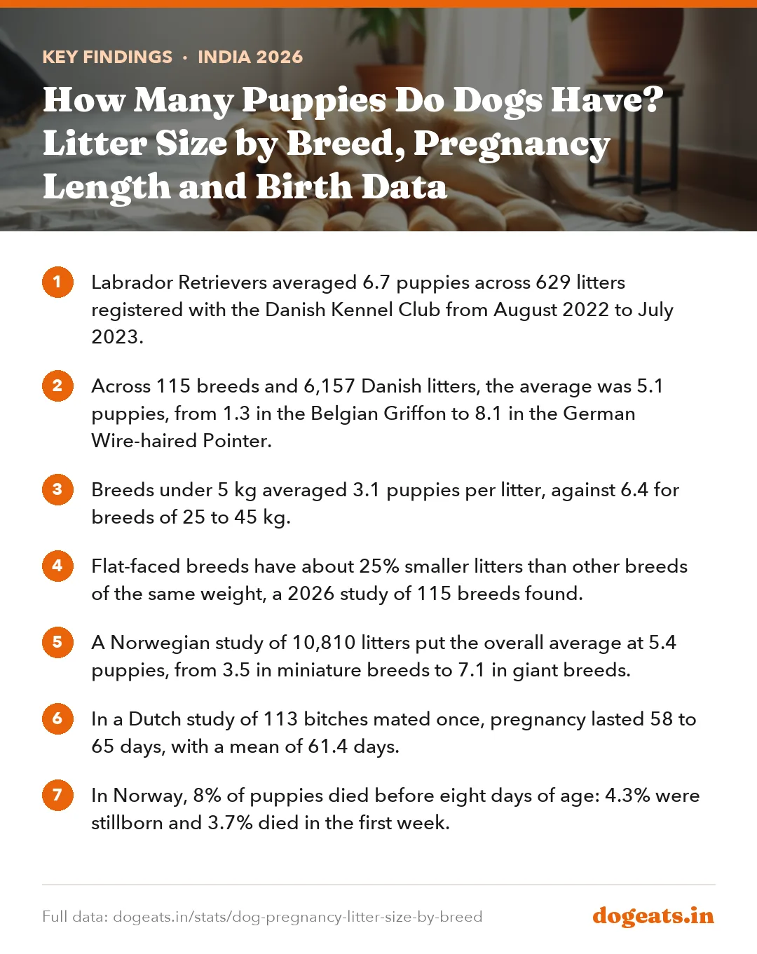 Key findings: How Many Puppies Do Dogs Have? Litter Size by Breed, Pregnancy Length and Birth Data