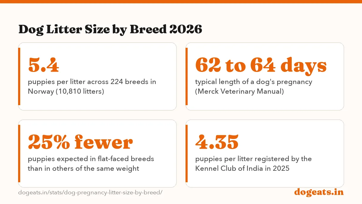 Dog Litter Size by Breed 2026: 6.7 puppies average Labrador Retriever litter, 629 litters registered in Denmark, 2022 to 2023