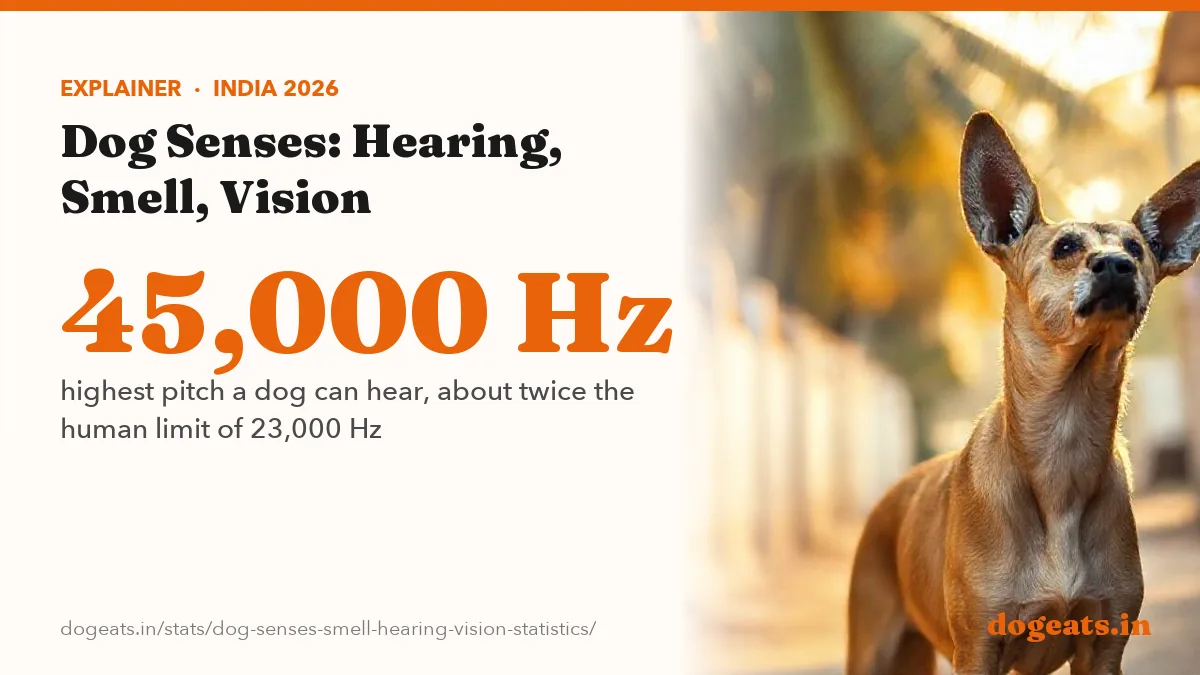 45,000 Hz highest pitch a dog can hear, about twice the human limit of 23,000 Hz