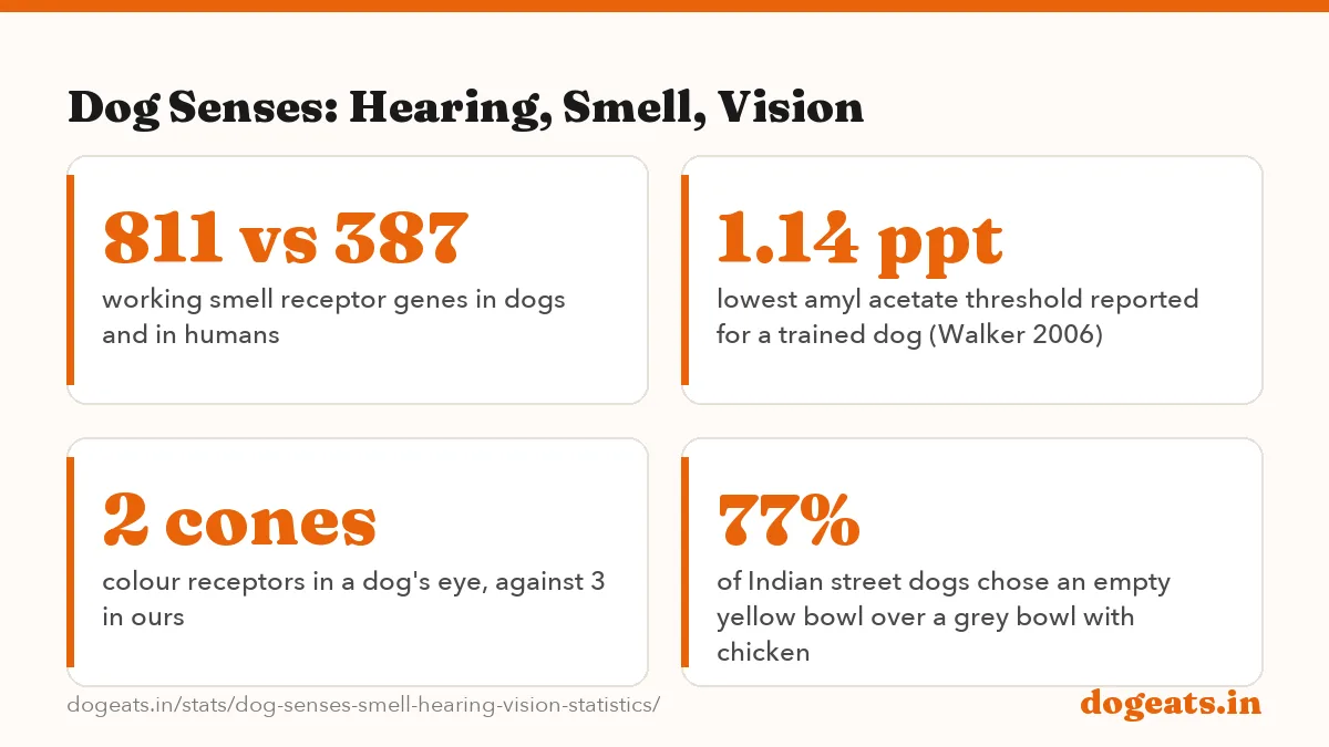 Dog Senses: Hearing, Smell, Vision: 45,000 Hz highest pitch a dog can hear, about twice the human limit of 23,000 Hz