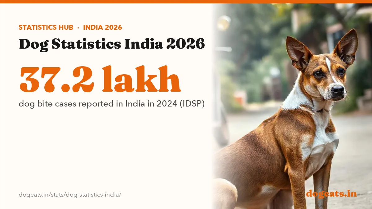37.2 lakh dog bite cases reported in India in 2024 (IDSP)