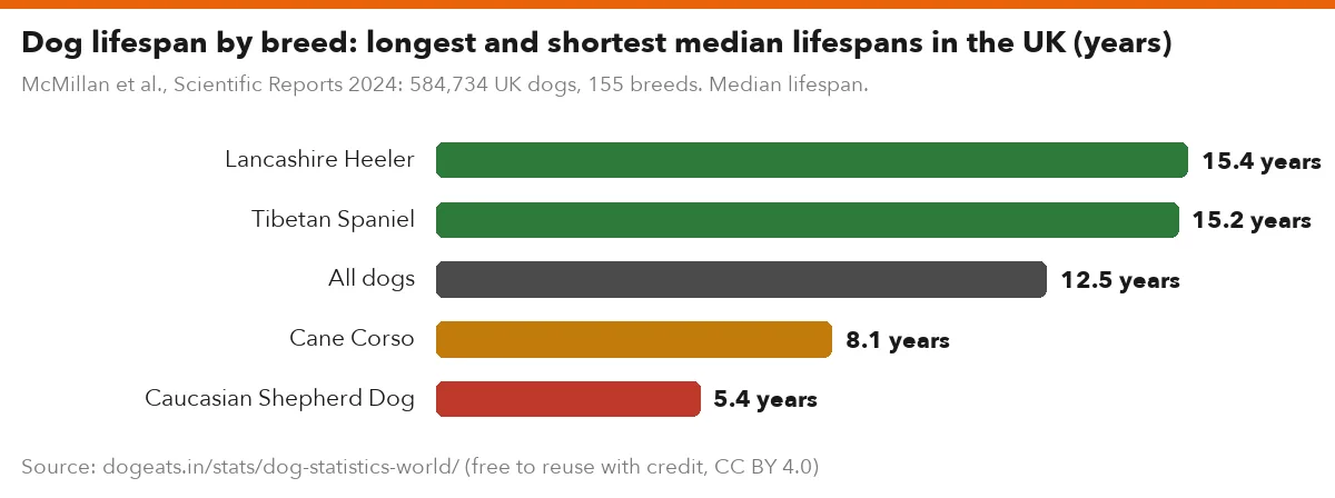 Dog lifespan by breed: longest and shortest median lifespans in the UK (years)
