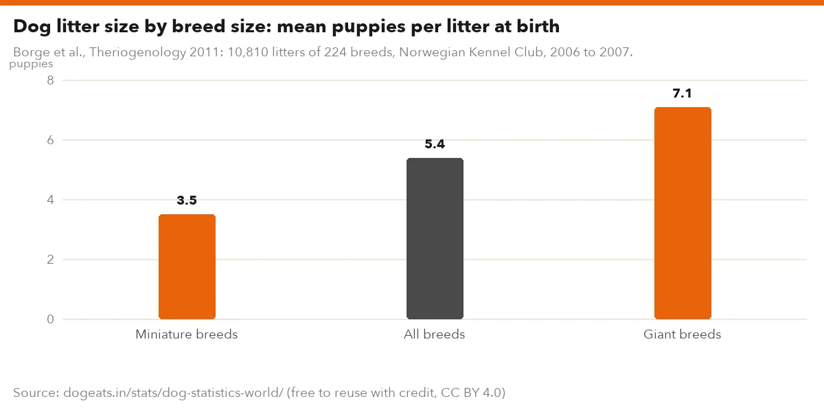 Dog litter size by breed size: mean puppies per litter at birth