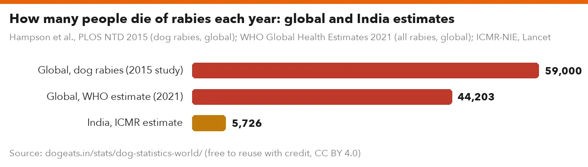 How many people die of rabies each year: global and India estimates
