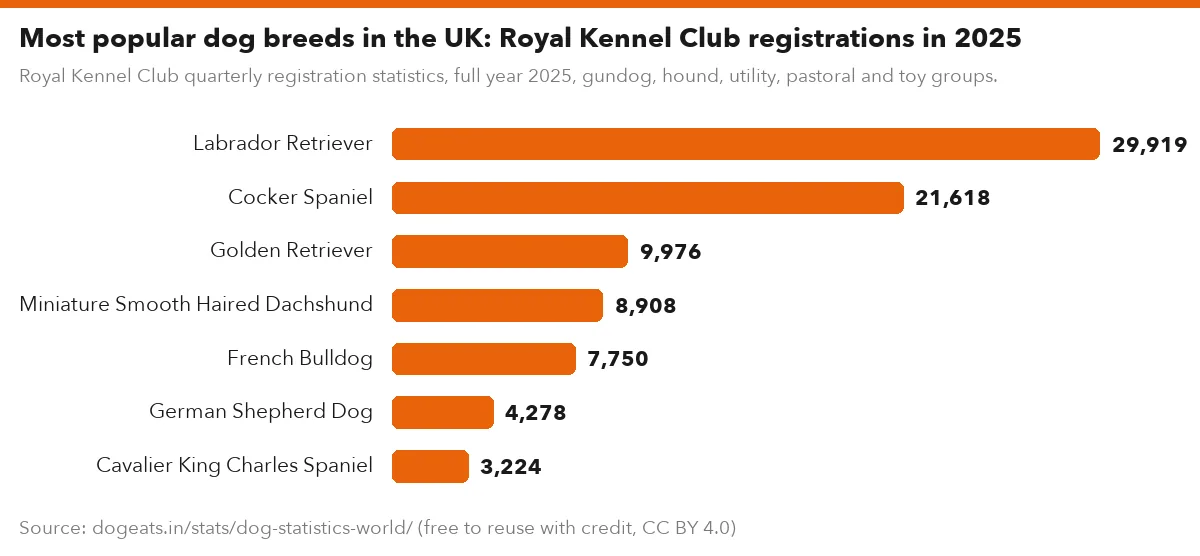 Most popular dog breeds in the UK: Royal Kennel Club registrations in 2025