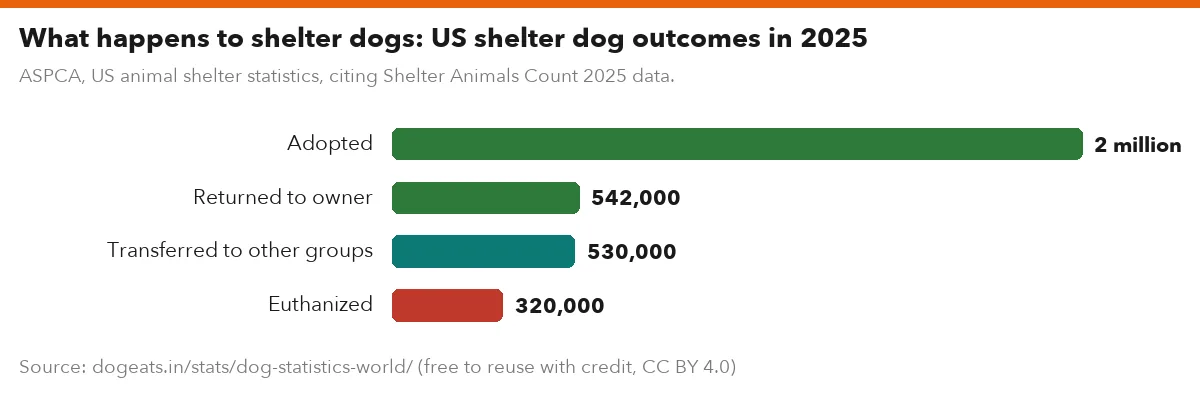 What happens to shelter dogs: US shelter dog outcomes in 2025