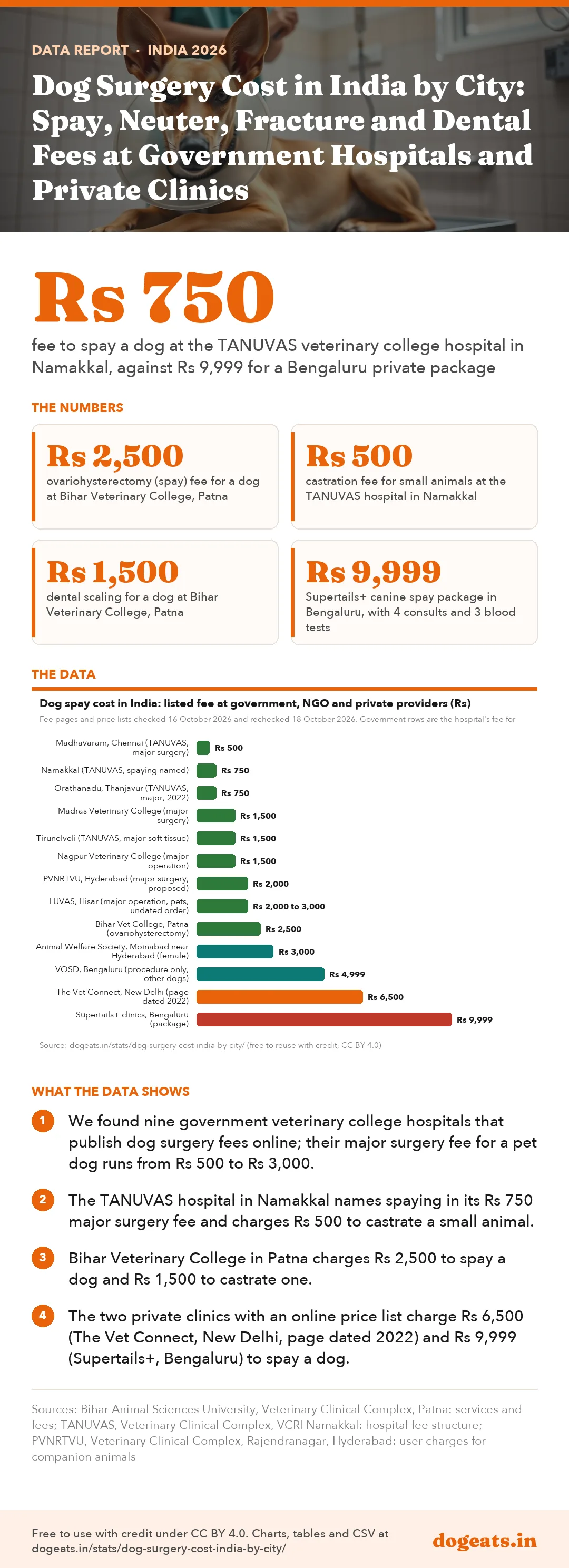 Infographic: Dog Surgery Cost in India by City: Spay, Neuter, Fracture and Dental Fees at Government Hospitals and Private Clinics