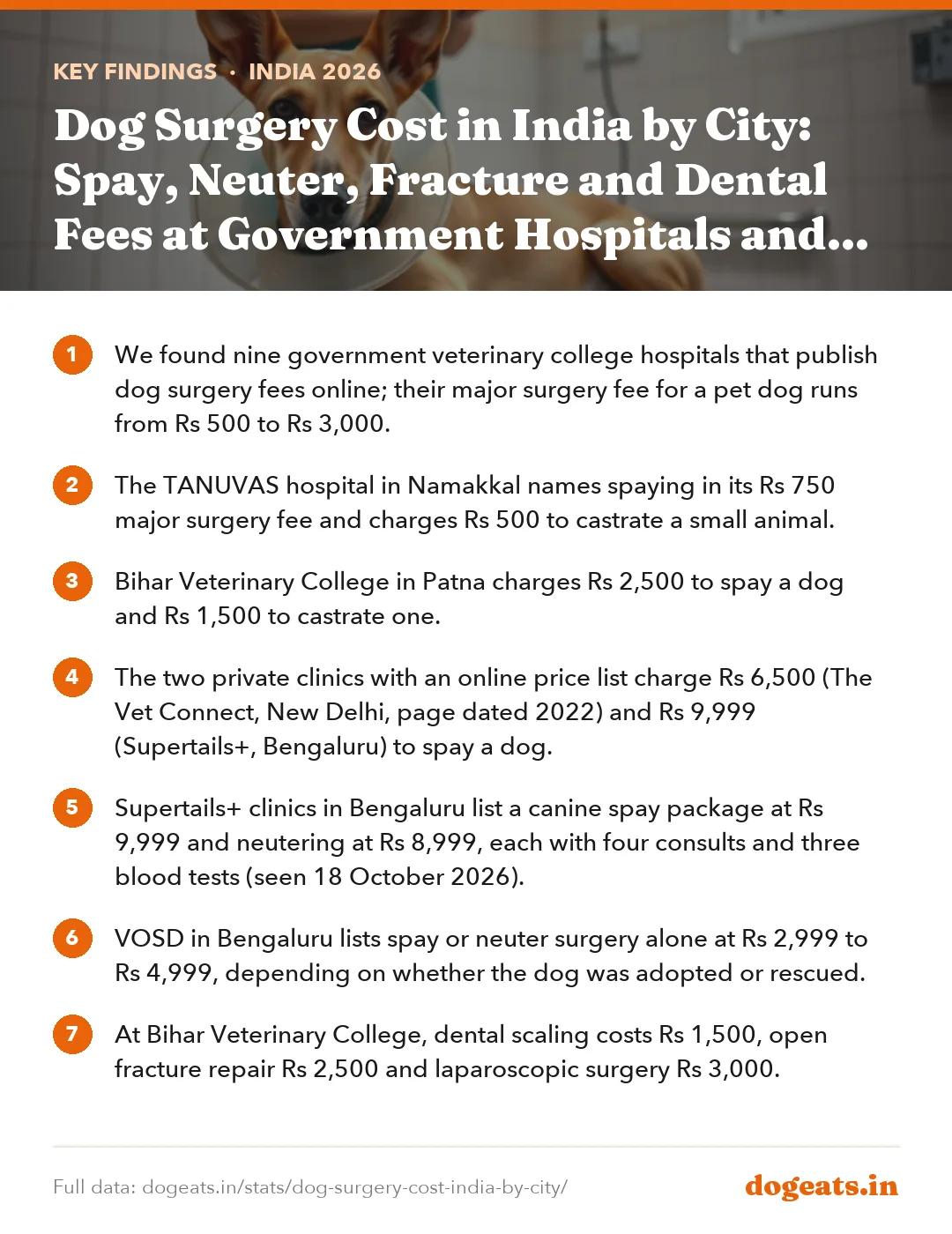 Key findings: Dog Surgery Cost in India by City: Spay, Neuter, Fracture and Dental Fees at Government Hospitals and Private Clinics