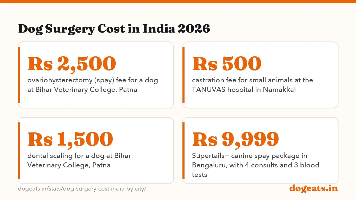 Dog Surgery Cost in India 2026: Rs 750 fee to spay a dog at the TANUVAS veterinary college hospital in Namakkal, against