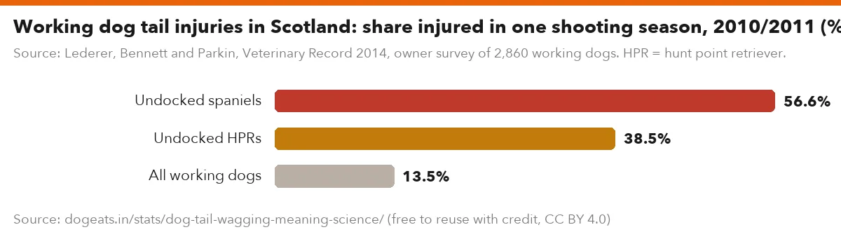 Working dog tail injuries in Scotland: share injured in one shooting season, 2010/2011 (%)