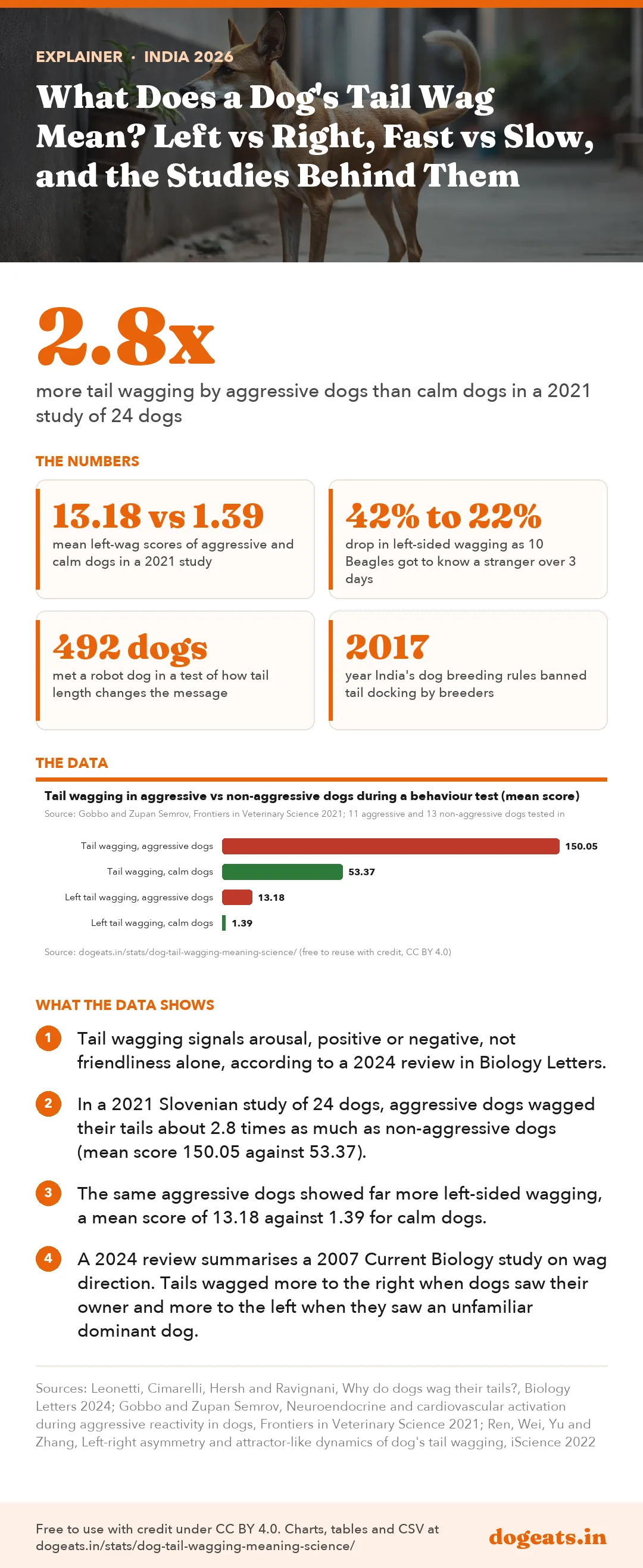 Infographic: What Does a Dog's Tail Wag Mean? Left vs Right, Fast vs Slow, and the Studies Behind Them