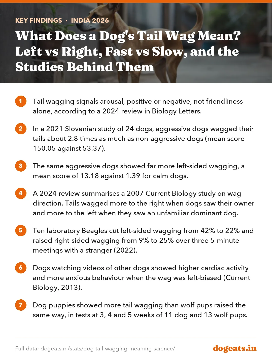 Key findings: What Does a Dog's Tail Wag Mean? Left vs Right, Fast vs Slow, and the Studies Behind Them