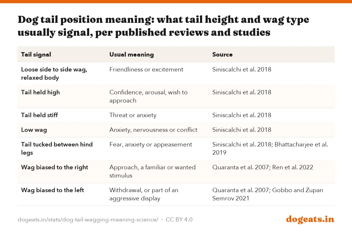 Dog tail position meaning: what tail height and wag type usually signal, per published reviews and studies
