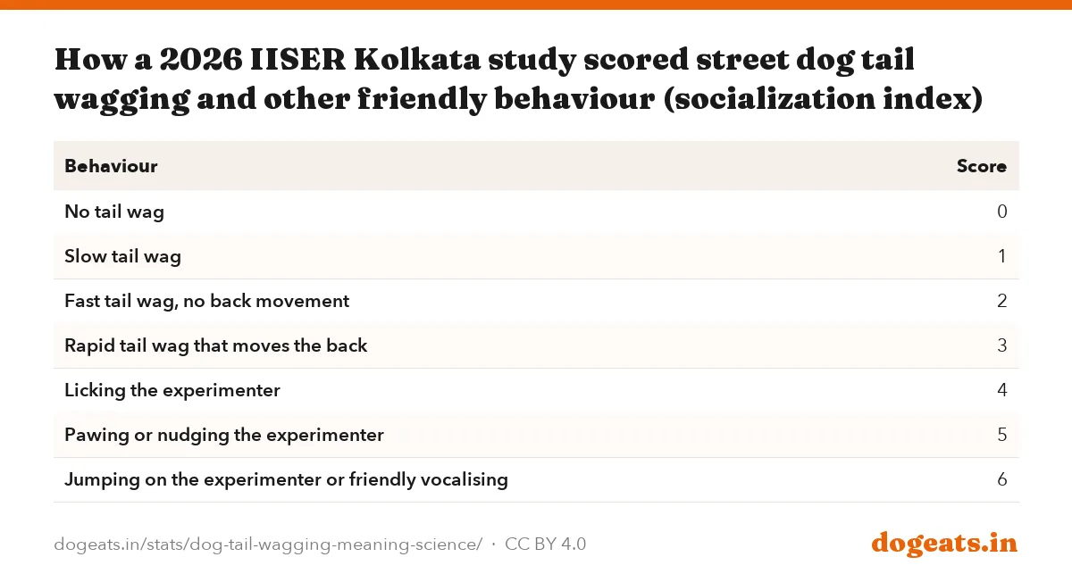 How a 2026 IISER Kolkata study scored street dog tail wagging and other friendly behaviour (socialization index)