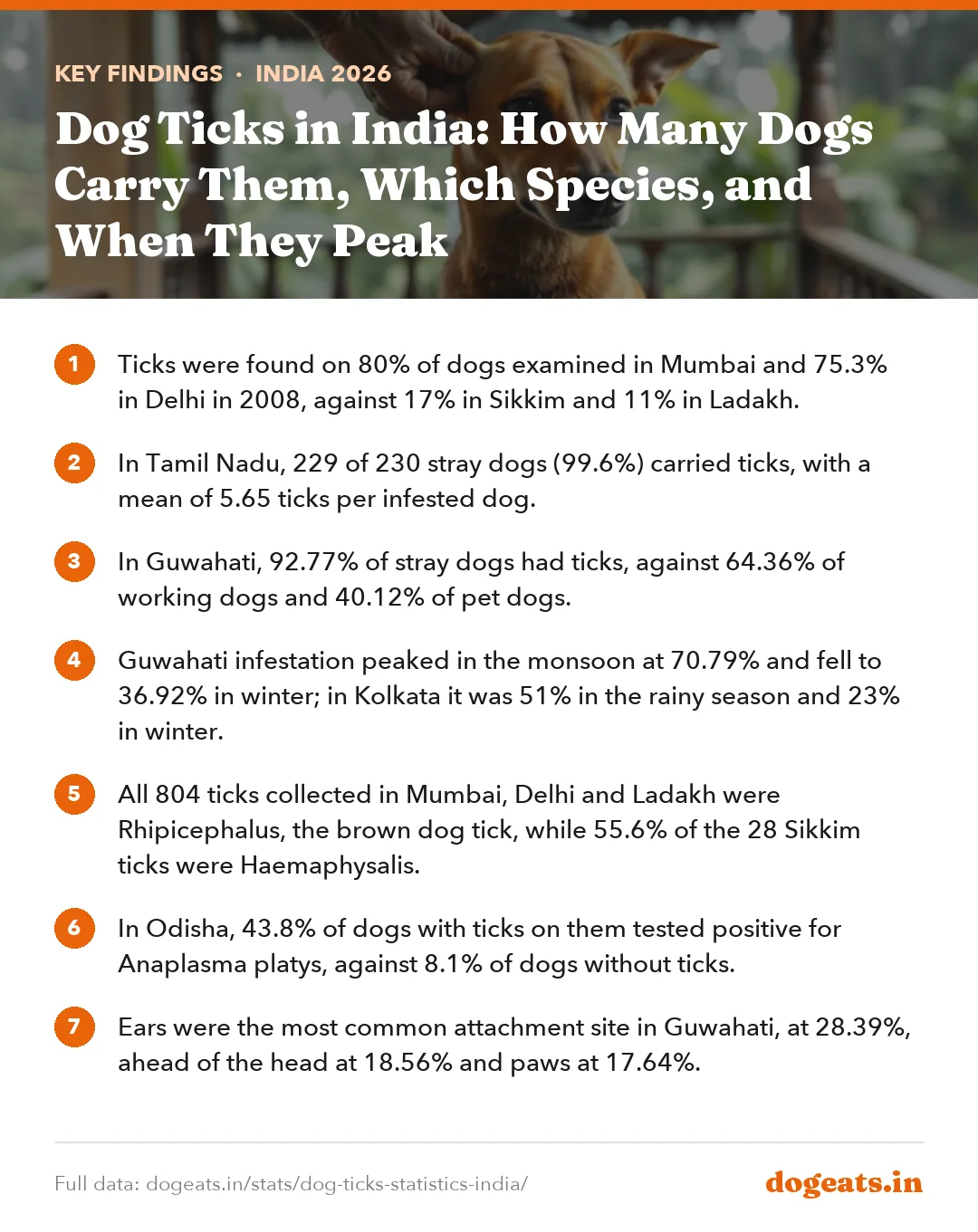 Key findings: Dog Ticks in India: How Many Dogs Carry Them, Which Species, and When They Peak