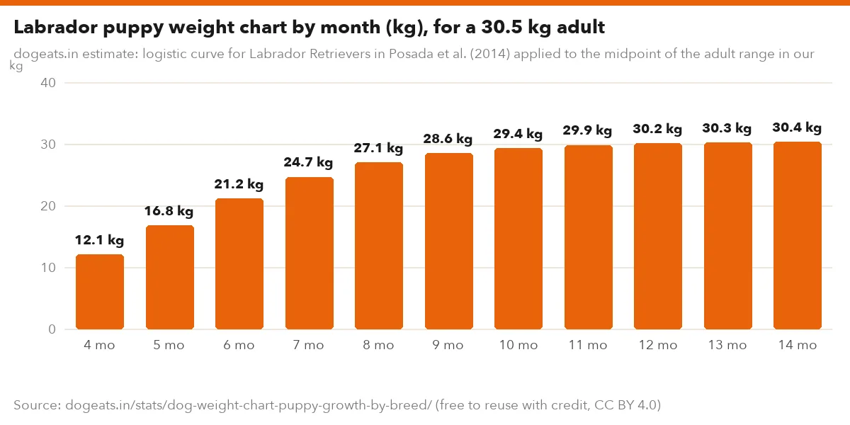 Labrador puppy weight chart by month (kg), for a 30.5 kg adult
