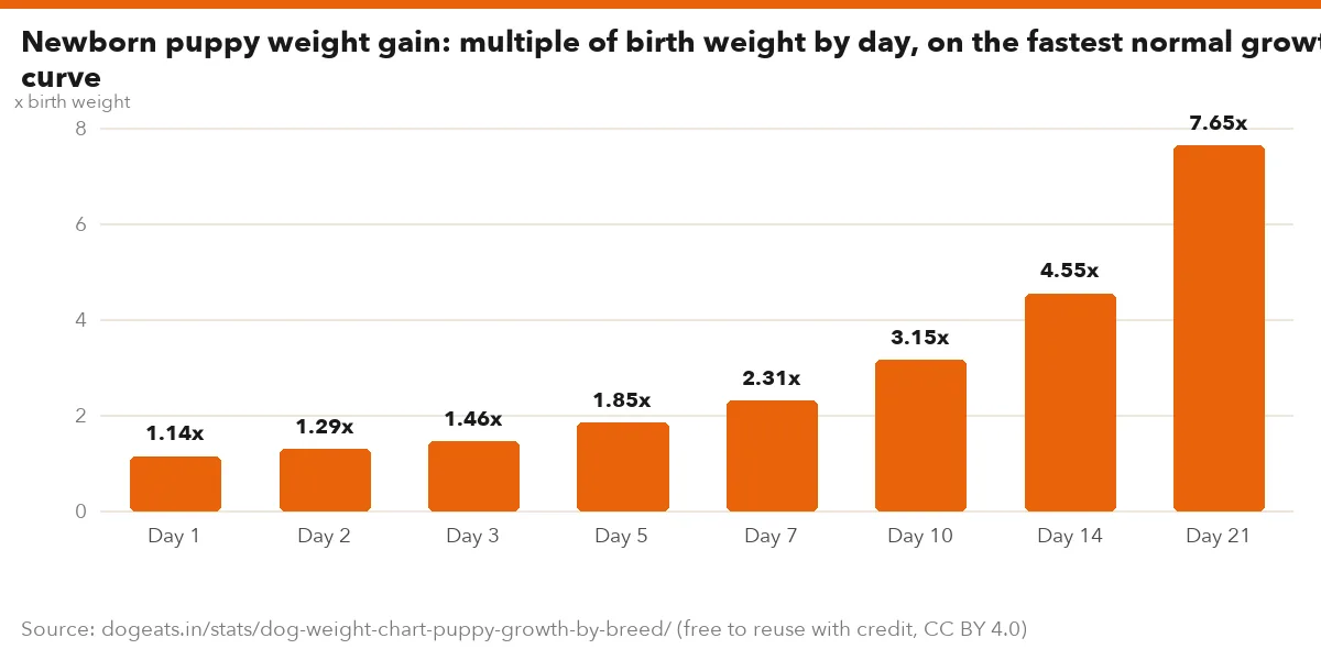 Newborn puppy weight gain: multiple of birth weight by day, on the fastest normal growth curve