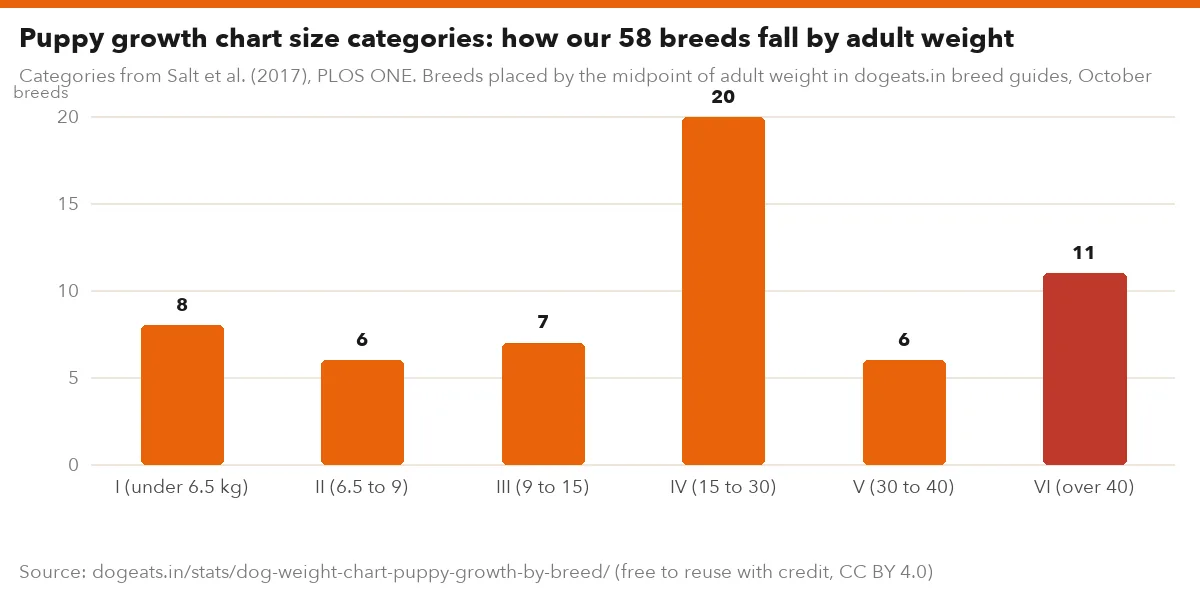 Puppy growth chart size categories: how our 58 breeds fall by adult weight