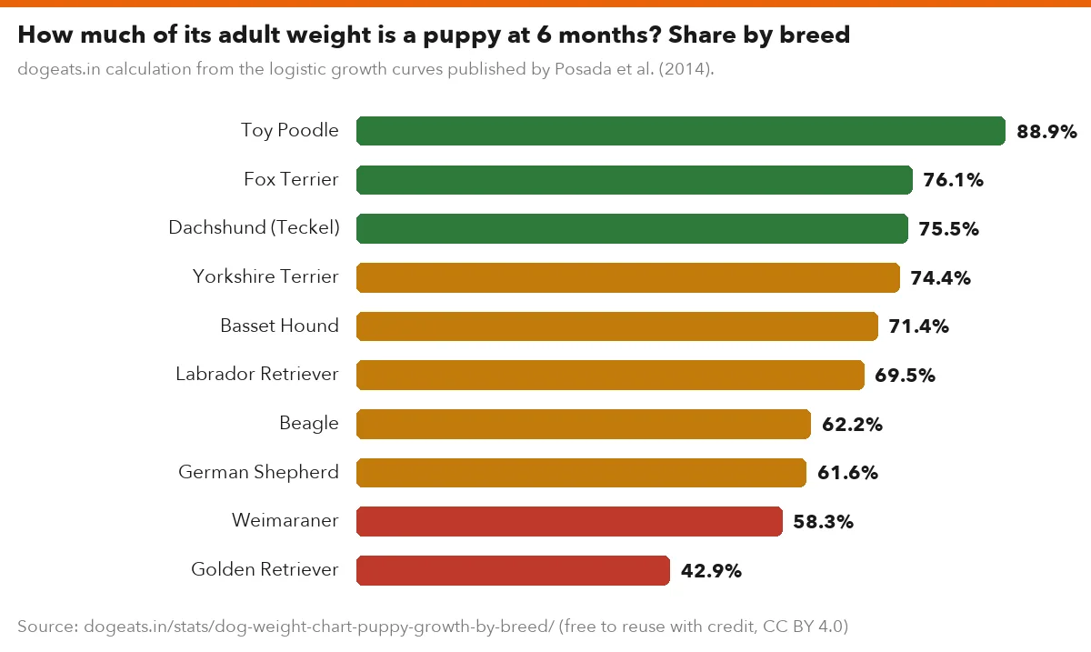 How much of its adult weight is a puppy at 6 months? Share by breed