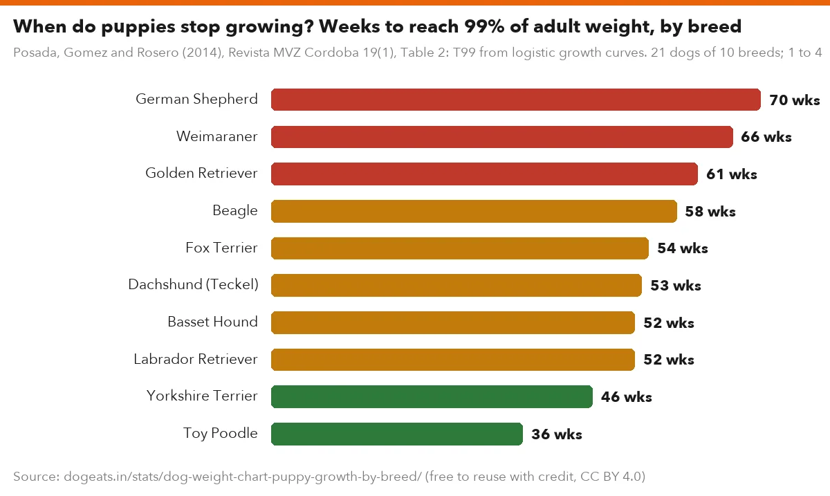 When do puppies stop growing? Weeks to reach 99% of adult weight, by breed