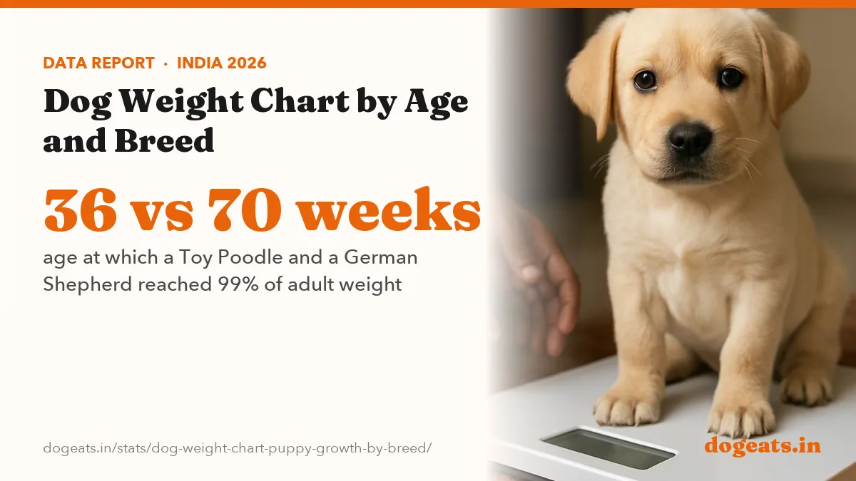36 vs 70 weeks age at which a Toy Poodle and a German Shepherd reached 99% of adult weight