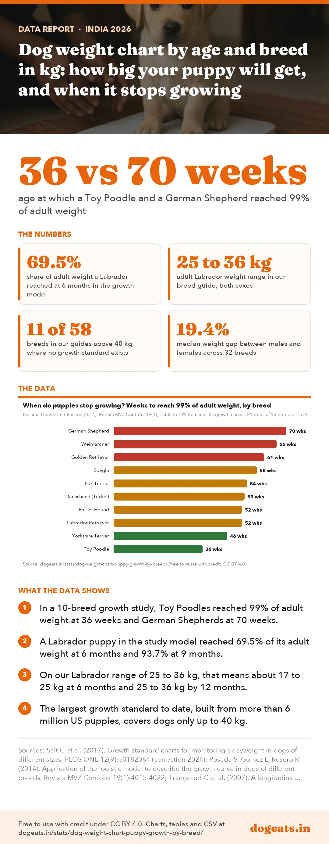 Infographic: Dog weight chart by age and breed in kg: how big your puppy will get, and when it stops growing