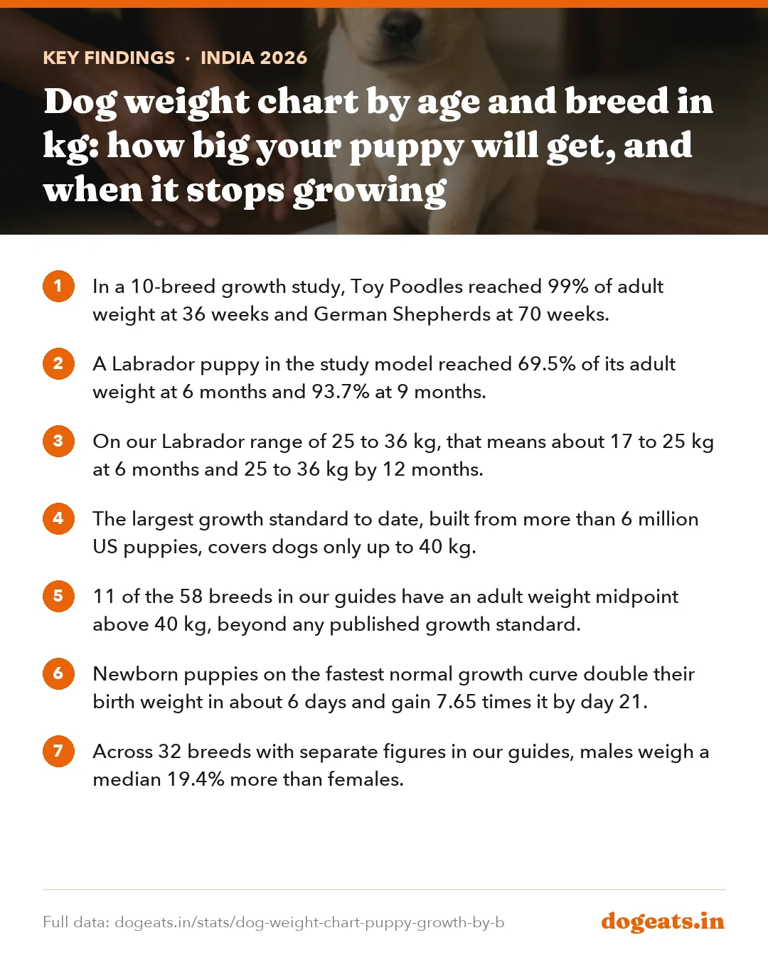 Key findings: Dog weight chart by age and breed in kg: how big your puppy will get, and when it stops growing