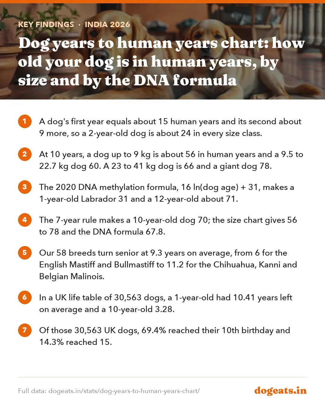 Key findings: Dog years to human years chart: how old your dog is in human years, by size and by the DNA formula