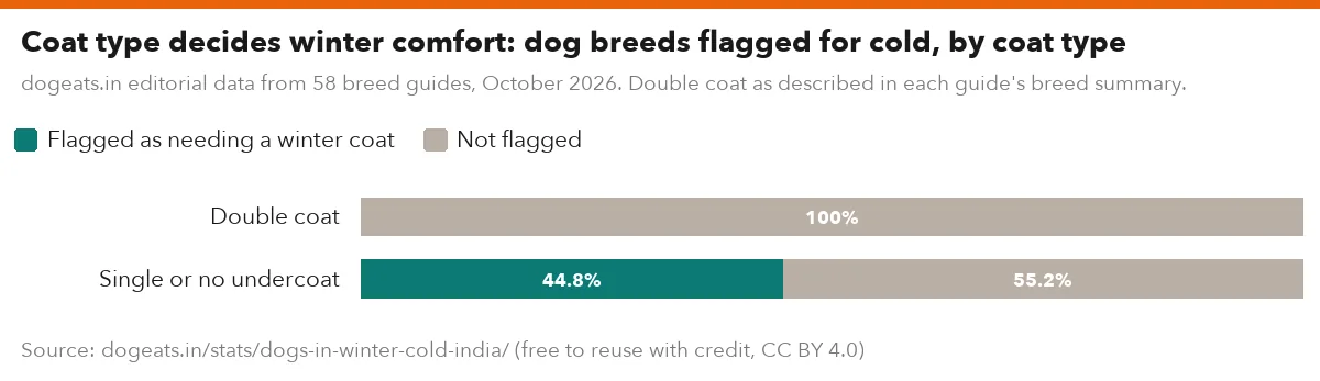 Coat type decides winter comfort: dog breeds flagged for cold, by coat type