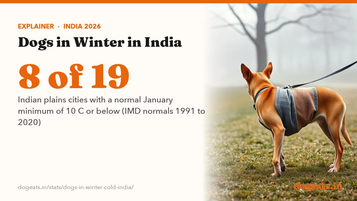 8 of 19 Indian plains cities with a normal January minimum of 10 C or below (IMD normals 1991 to 2020)
