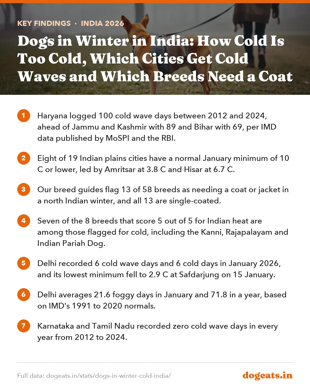 Key findings: Dogs in Winter in India: How Cold Is Too Cold, Which Cities Get Cold Waves and Which Breeds Need a Coat