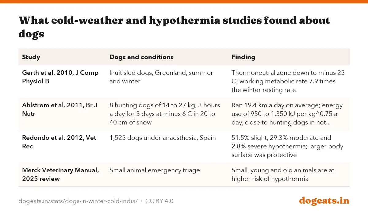 What cold-weather and hypothermia studies found about dogs
