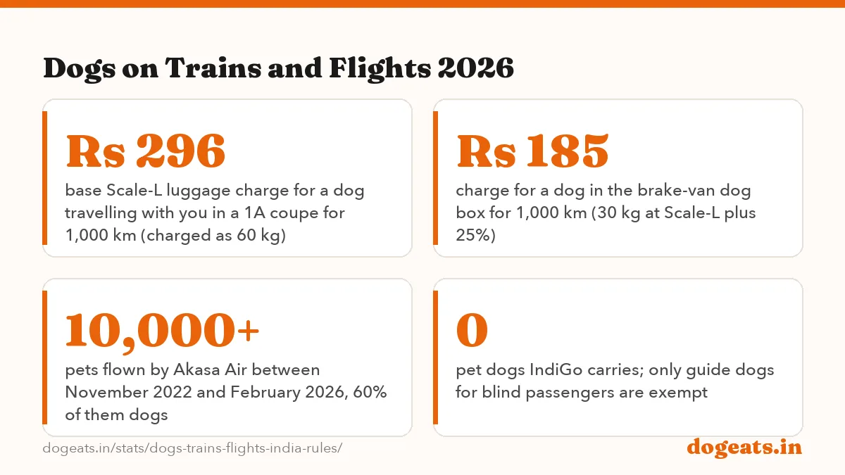 Dogs on Trains and Flights 2026: the numbers