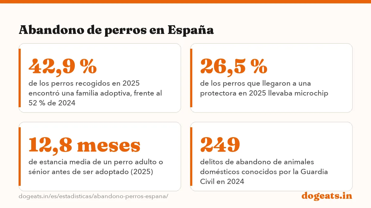 Abandono de perros en España: las cifras