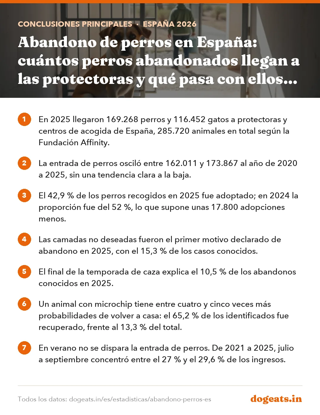 Conclusiones principales: Abandono de perros en España: cuántos perros abandonados llegan a las protectoras y qué pasa con ellos (datos 2019 a 2025)