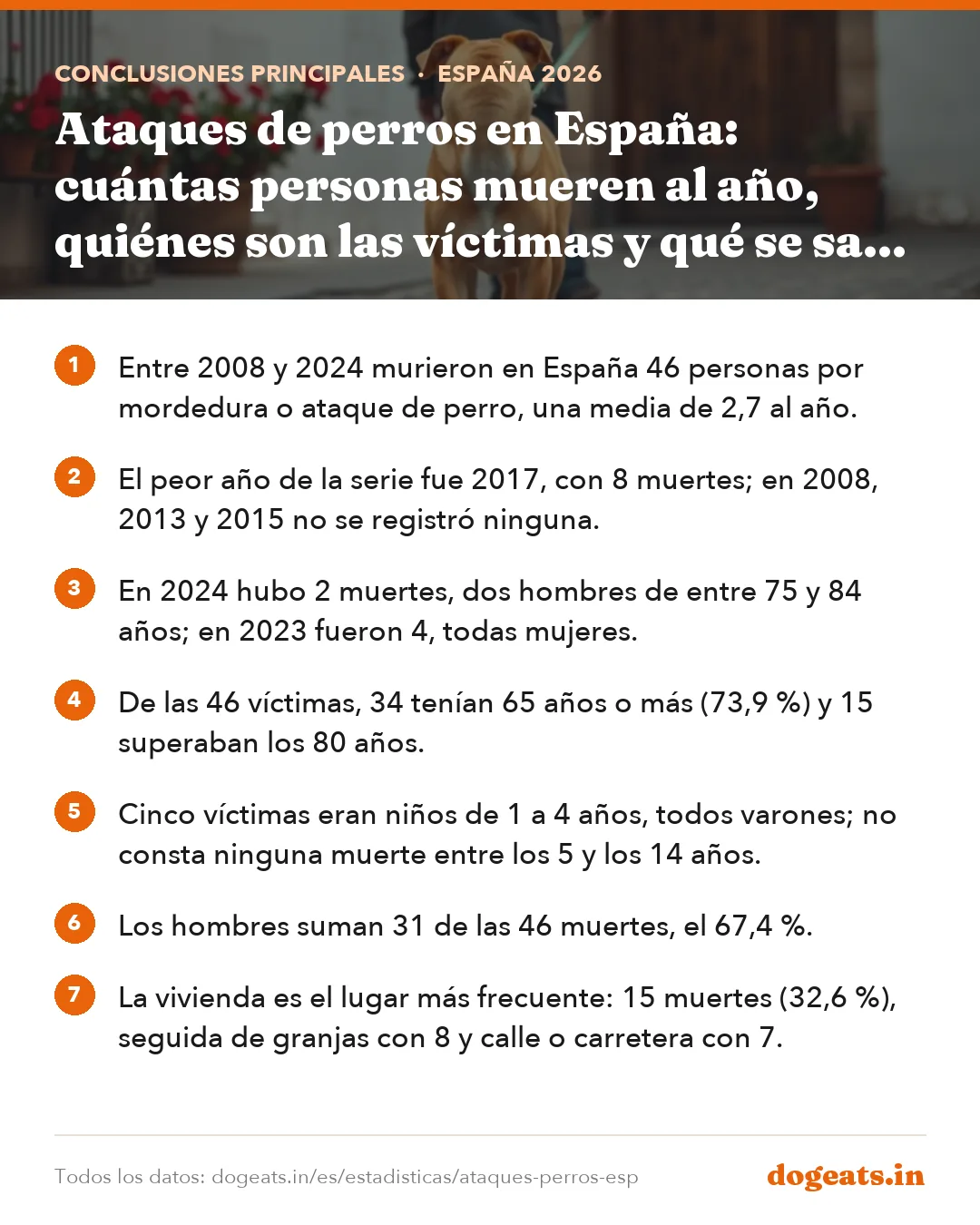 Conclusiones principales: Ataques de perros en España: cuántas personas mueren al año, quiénes son las víctimas y qué se sabe por raza