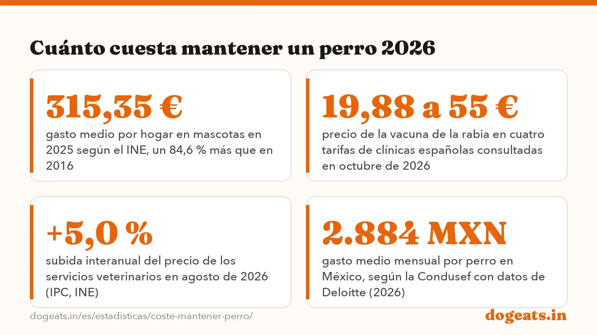 Cuánto cuesta mantener un perro 2026: las cifras