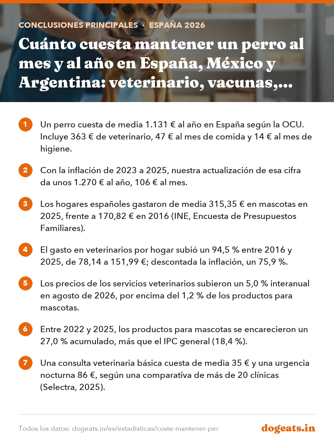Conclusiones principales: Cuánto cuesta mantener un perro al mes y al año en España, México y Argentina: veterinario, vacunas, comida y seguro