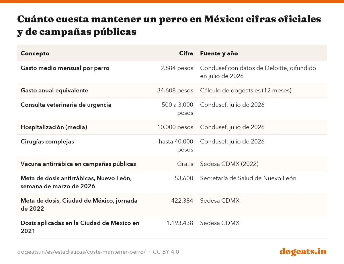 Cuánto cuesta mantener un perro en México: cifras oficiales y de campañas públicas