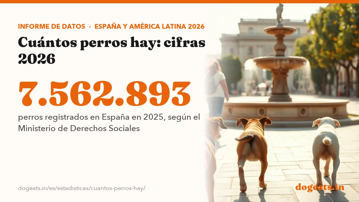 7.562.893 perros registrados en España en 2025, según el Ministerio de Derechos Sociales