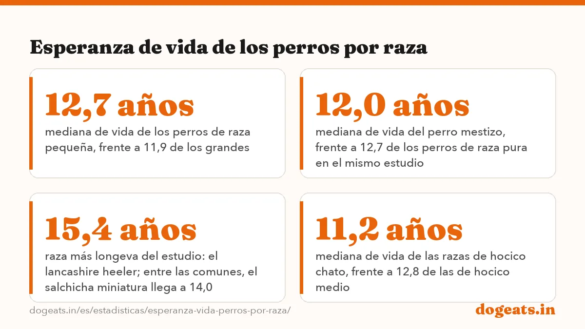 Esperanza de vida de los perros por raza: 12,5 años mediana de vida de un perro, calculada sobre 584.734 perros (McMillan y