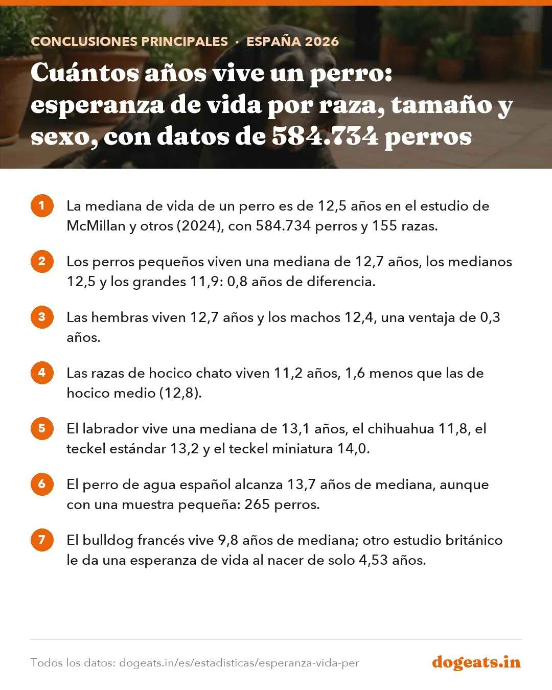 Conclusiones principales: Cuántos años vive un perro: esperanza de vida por raza, tamaño y sexo, con datos de 584.734 perros