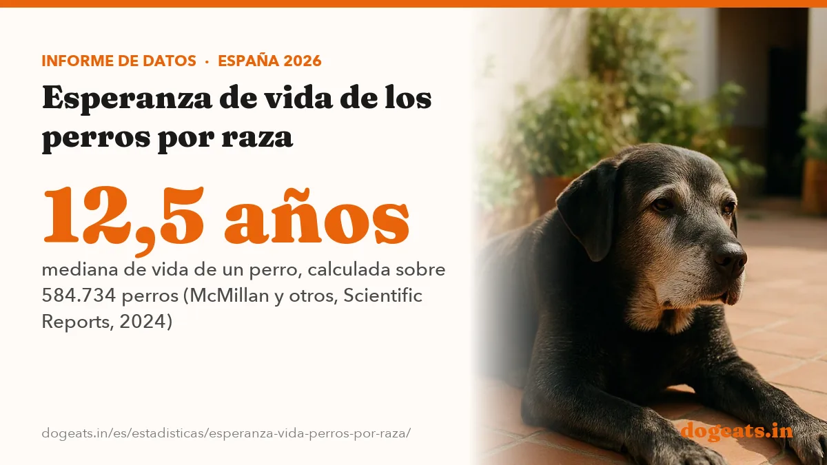 12,5 años mediana de vida de un perro, calculada sobre 584.734 perros (McMillan y otros, Scientific Reports, 2024)