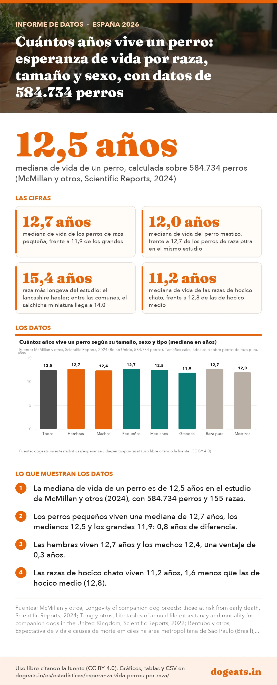 Infograf&iacute;a: Cuántos años vive un perro: esperanza de vida por raza, tamaño y sexo, con datos de 584.734 perros