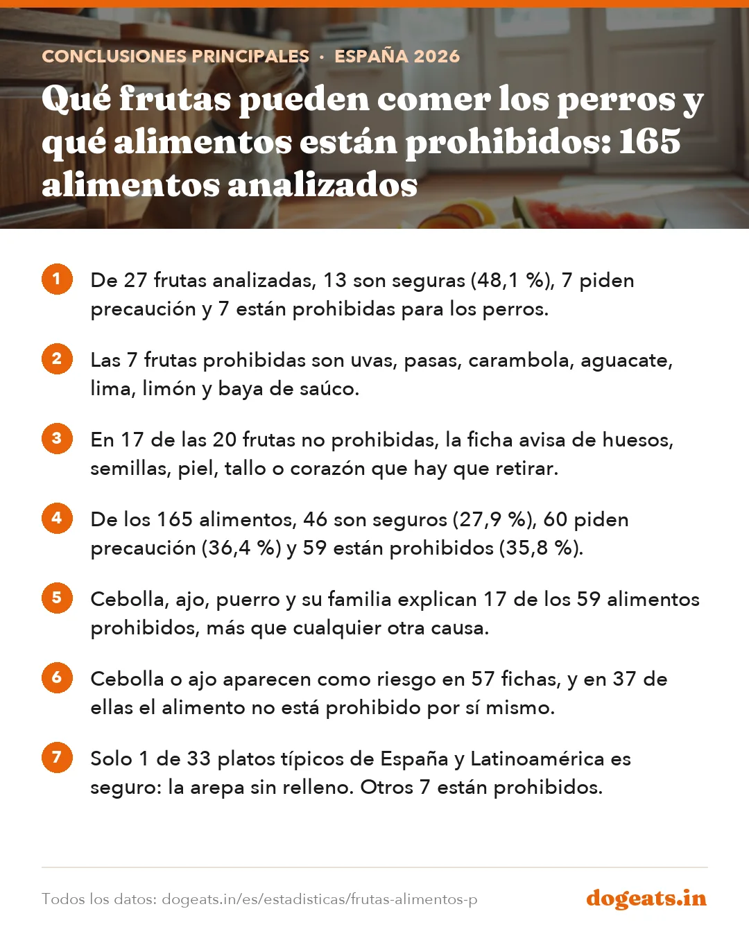 Conclusiones principales: Qué frutas pueden comer los perros y qué alimentos están prohibidos: 165 alimentos analizados