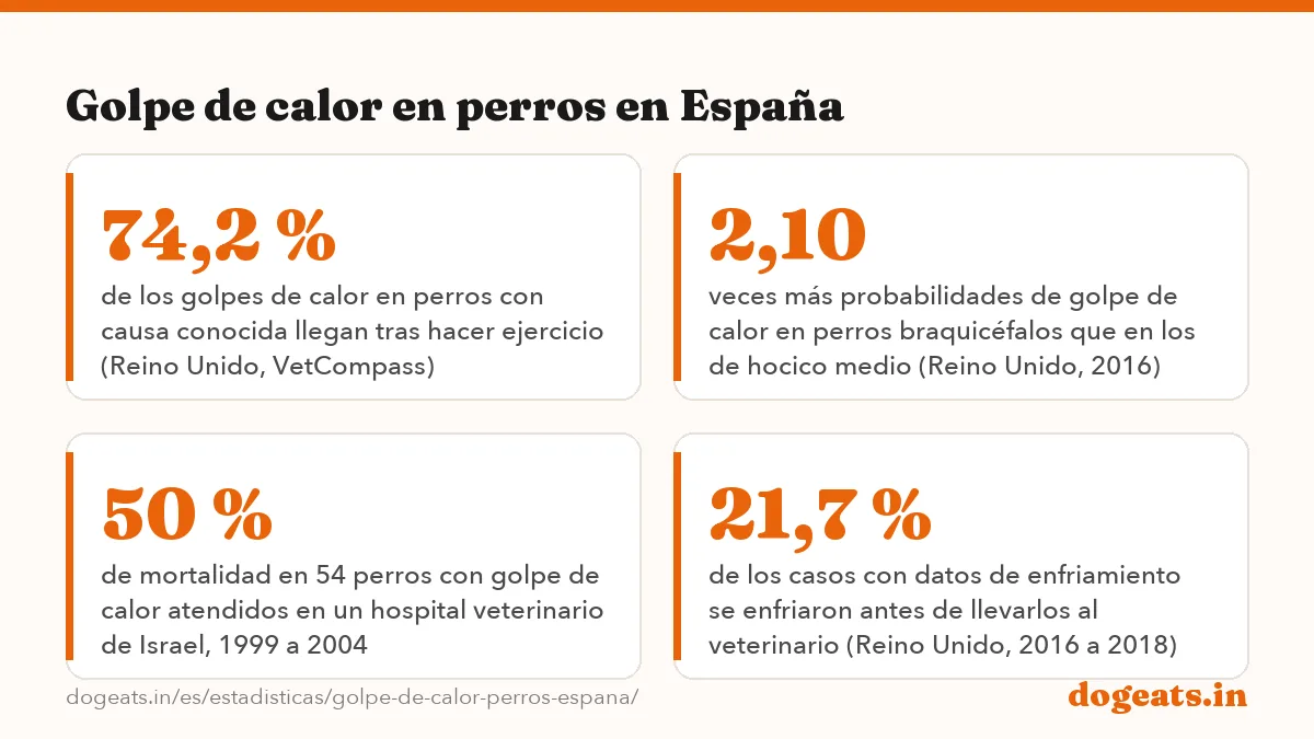 Golpe de calor en perros en España: 55 días de ola de calor en la Península y Baleares en el verano de