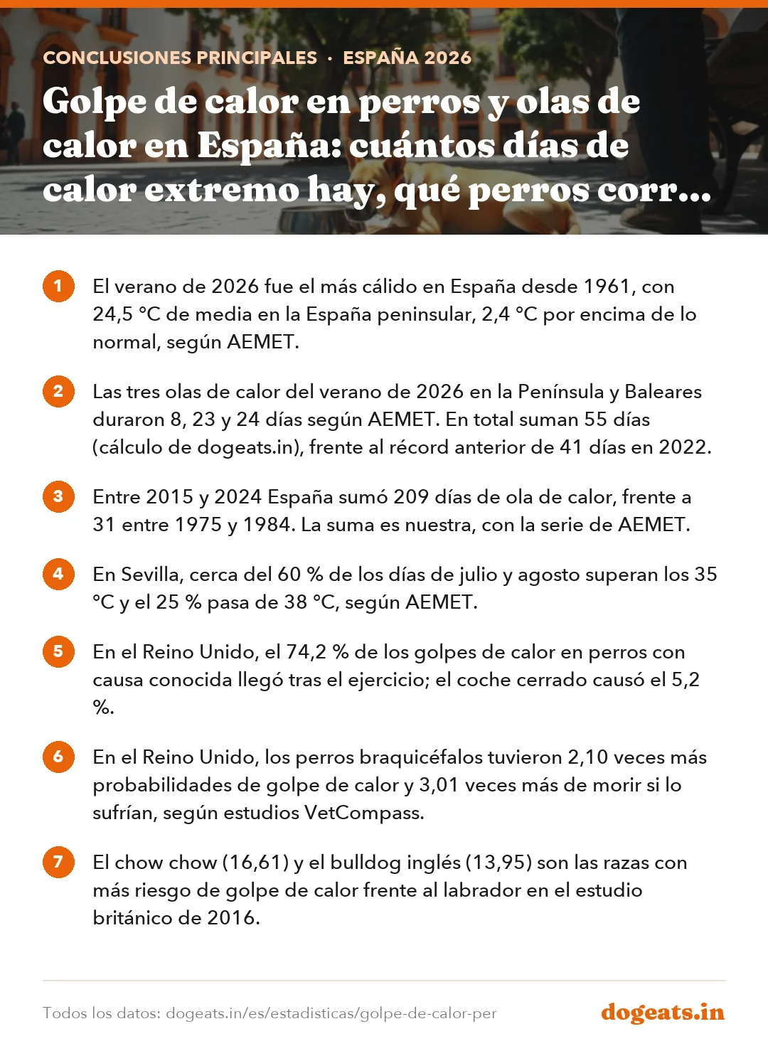 Conclusiones principales: Golpe de calor en perros y olas de calor en España: cuántos días de calor extremo hay, qué perros corren más riesgo y qué hacer