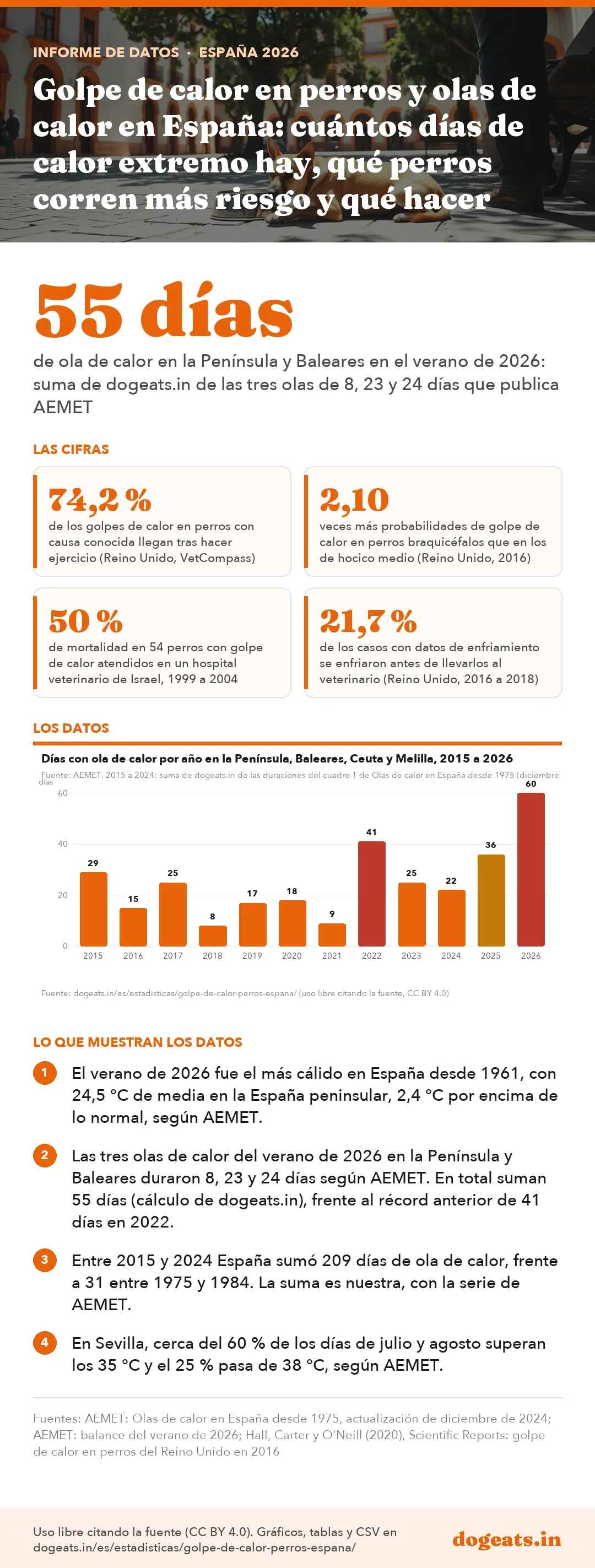 Infograf&iacute;a: Golpe de calor en perros y olas de calor en España: cuántos días de calor extremo hay, qué perros corren más riesgo y qué hacer
