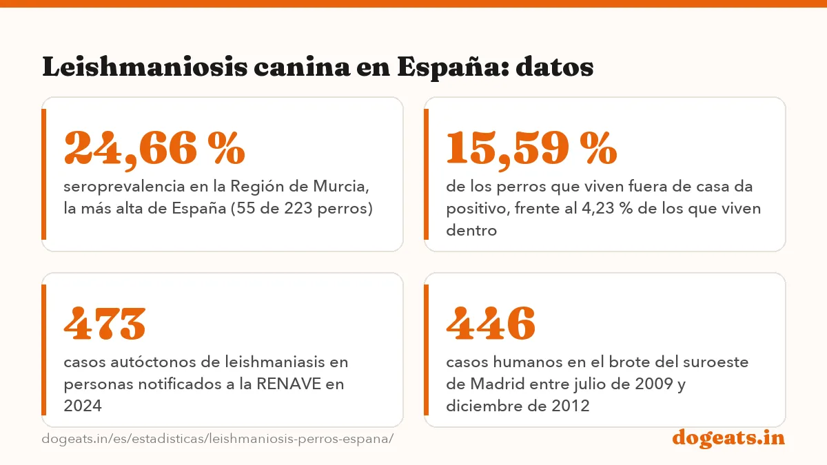 Leishmaniosis canina en España: datos: 10,36 % de 4.643 perros con dueño dio positivo a Leishmania infantum en las 17 comunidades autónomas
