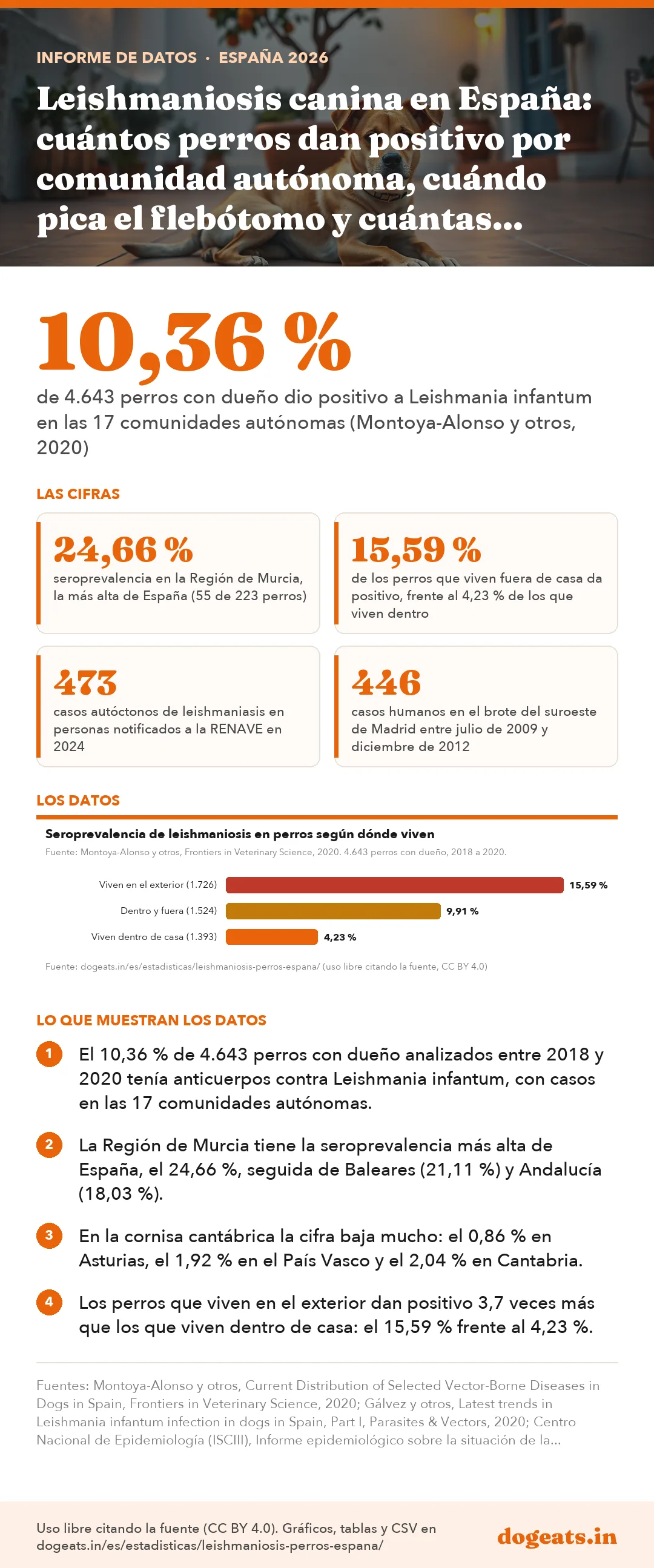 Infograf&iacute;a: Leishmaniosis canina en España: cuántos perros dan positivo por comunidad autónoma, cuándo pica el flebótomo y cuántas personas enferman